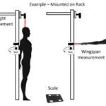 The Dashr Biostation provides height and wingspan measurement with a mounted rack. It displays height as a person standing upright, and wingspan with arms extended horizontally, with a scale underneath.