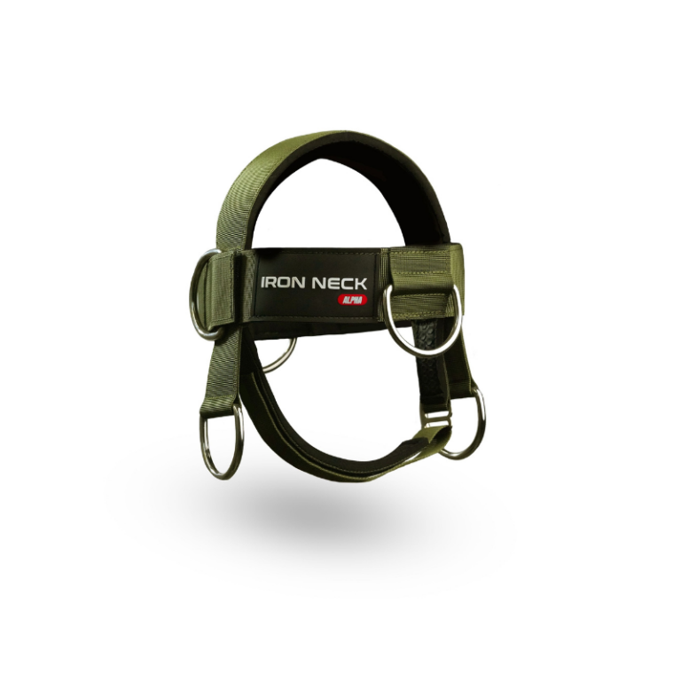Exxentric Head Gear for neck training