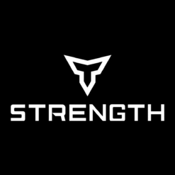A white geometric logo resembling a stylized bulls head sits above the bold, all-caps text TEAMBULIDR STRENGTH, both centered on a solid black background.